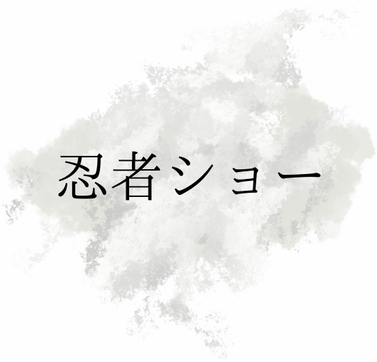 忍者ショー