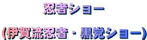 忍者ショー (伊賀流忍者・黒党ショー)